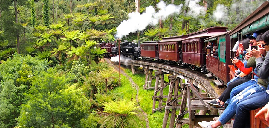 4 things you didn't know about puffing billy