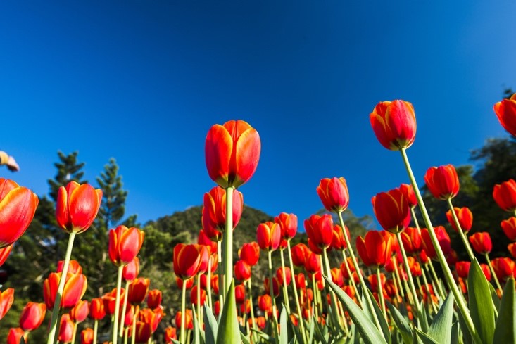 Melbourne Spring Events 2016