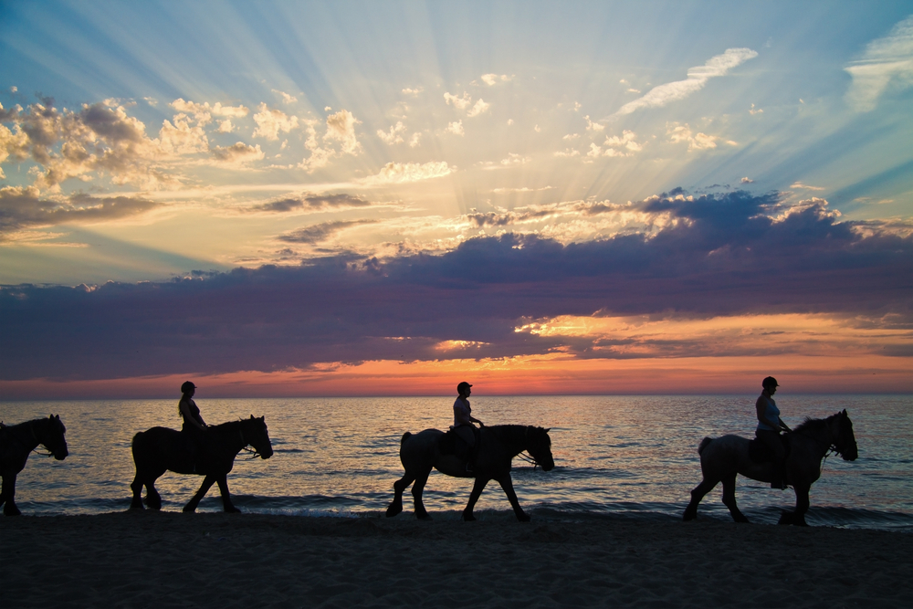 sunset riders on the beach