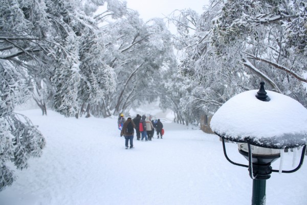 Mount Buller