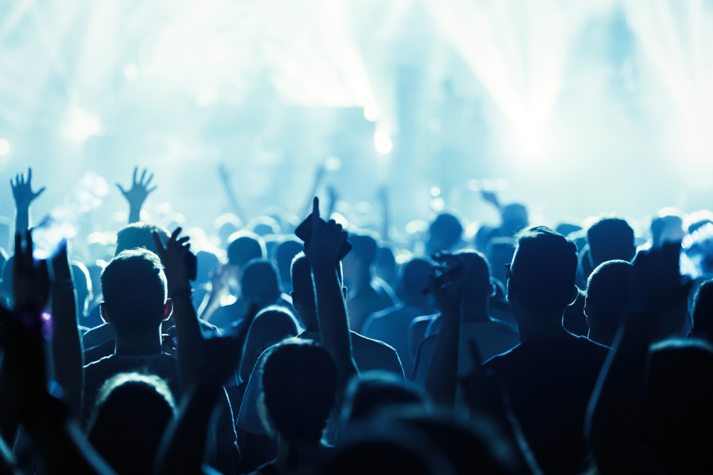 Crowd at Music Festival