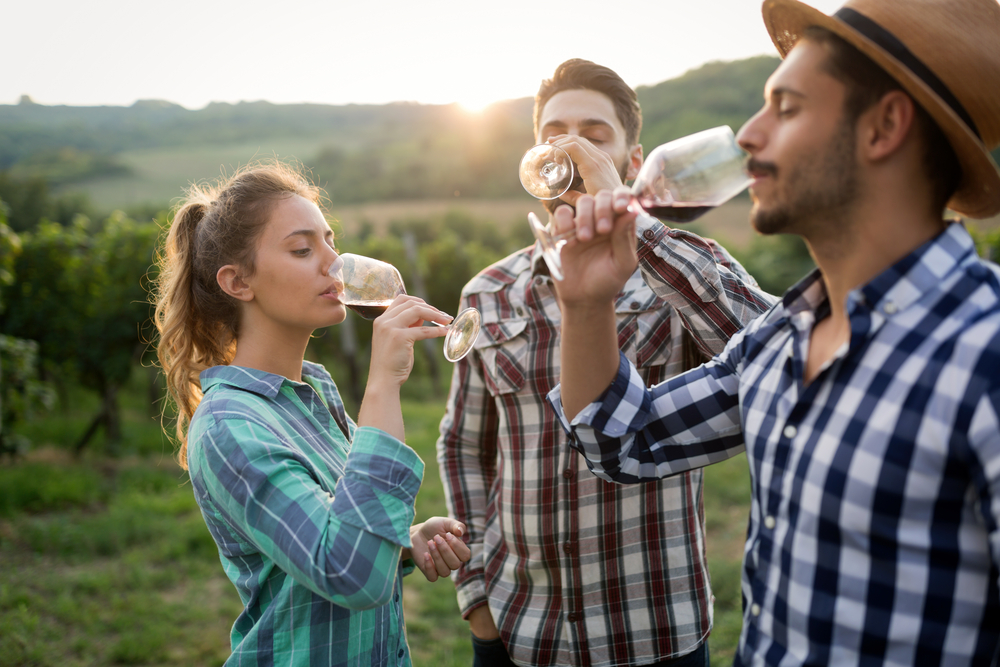 Three Friends Tasting Wine at a Winery